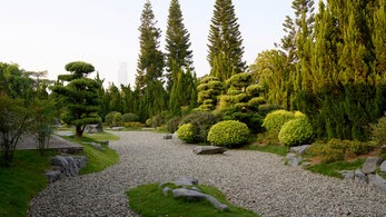 Landscape Design